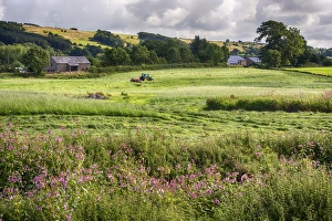 Cuts Prints: View of farmland with tractor mowing grass in field