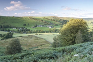 Wharfedale Prints: View of farmland in valley looking towards Appletreewick
