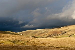 Storm Prints: View of fells in evening sunlight