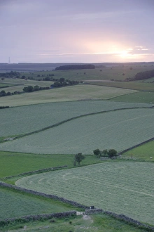 Dry Stone Prints: View of fields and drystone walls at sunset