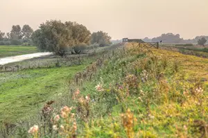 Flood Prints: View along flood embankment on wetland nature reserve towards birdwatching hide in evening sunlight