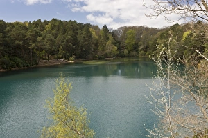 Quarry Prints: View of flooded former ball-clay pit