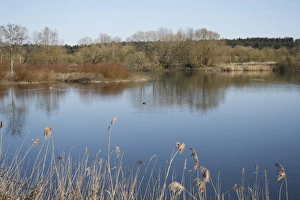 Gravel Prints: View of flooded former gravel pit habitat