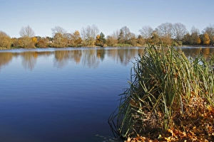 Gravel Prints: View of flooded former gravel pit habitat