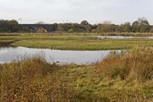 Gravel Prints: View of flooded former gravel pit habitat
