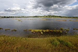Quarry Prints: View of flooded former gravel quarry habitat