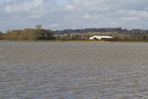 Environmental Prints: View across flooded watermeadow habitat
