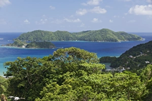 Lesser Antilles Prints: View of forested coastline, looking towards Little Tobago