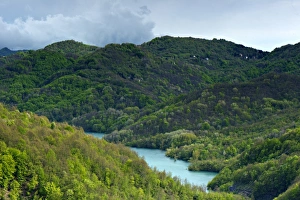 Liguria Prints: View of forested hills and lake