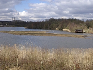 Conserves Prints: View of freshwater lake habitat with birdwatching hide