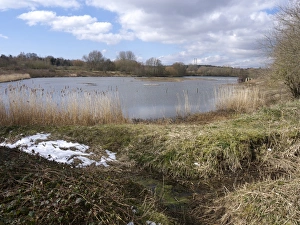 View of freshwater lake habitat with birdwatching hide, Forge Mill Lake, Sandwell Valley RSPB Reserve, West Midlands