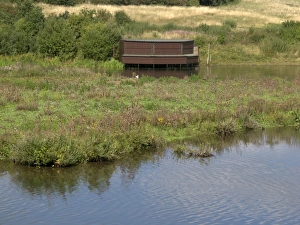 Hides Prints: View of freshwater lake habitat and hide