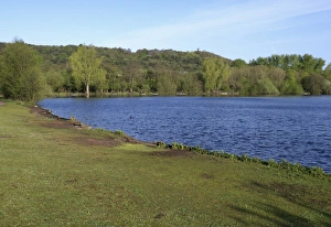 Conserves Prints: View of freshwater lake habitat