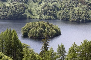 Lochs Prints: View of freshwater loch with forested island, Loch Katrine, Stirling, Scotland, July