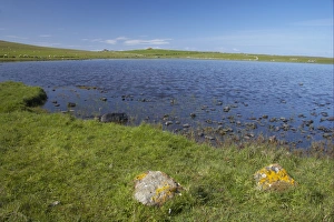 View of freshwater loch habitat, Loch Funzie, Loch of Funzie RSPB Reserve, Fetlar, Shetland Islands, Scotland