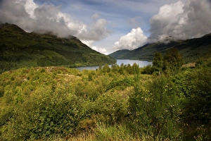 Hilly Prints: View of freshwater loch, Loch Eck, Argyll and Bute, Scotland, august