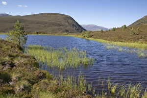 Highland Prints: View of freshwater loch and mountains