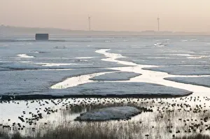 Flood Prints: View of frost covered flooded coastal grazing marsh marsh habitat with ducks at sunrise