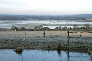 Flood Prints: View of frost covered pasture towards flooded watermeadow habitat