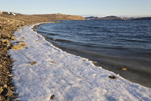 North Polar Prints: View of frozen beach in fjord, Murchisonfjorden
