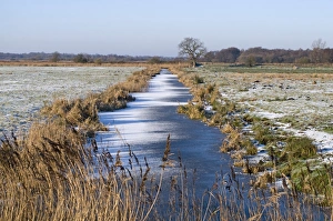 Yare Prints: View of frozen dyke across snow covered wetland habitat