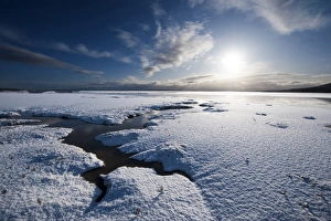 Caerlaverock Prints: View of frozen saltmarsh habitat