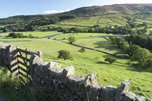 Dry Stone Prints: View of gate, drystone walls and sheep grazing in pasture of valley