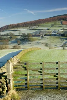 Slopes Prints: View of gate, drystone walls, trees and farm buildings on hillside