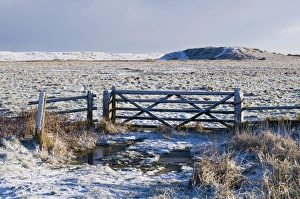 View of gate at edge of snow covered grazing marsh habitat, Kelling Quags, Kelling, Norfolk, England, january
