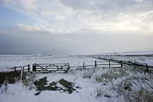 Wintery Prints: View of gate and snow covered coastal grazing marsh habitat
