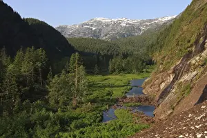 Clearings Prints: View of glacial valley and temperate coastal rainforest habitat