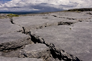 County Prints: View of glaciated coastal limestone pavement