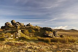 Moorland Prints: View of granite outcrop on moorland habitat in evening sunlight