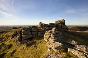 View of granite outcrop on moorland habitat in evening sunlight, with Great Nodden in distance, Arms Tor, Dartmoor N. P