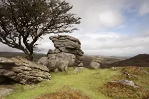 Tors Prints: View of granite outcrop on moorland