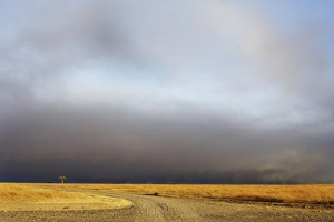 Storm Prints: View of grassland habitat with stormclouds