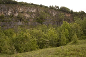 Quarry Prints: View of habitat regeneration in former limestone quarry