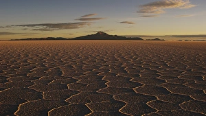 World Prints: View of hexagonal crystallization fissures on salt pan