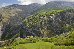 Iberia Prints: View of high pastures and barns (invernales)