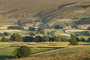 Stone Prints: View of hill farms with pasture