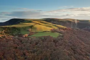 Slopes Prints: View of hill lit by early morning sunlight and mist rising from trees in woodland