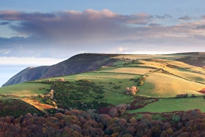 Sunlight Prints: View of hill near coast lit by early morning sunlight