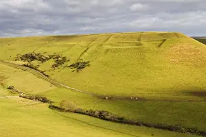 Hilly Prints: View of hilly rural landscape, grassland habitat on coastal farmland