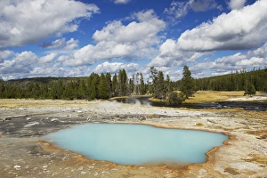 Geothermal Prints: View of hotspring, Black Opal Spring