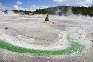 Colour Prints: View of hotspring outlet coloured with thermophilic bacteria