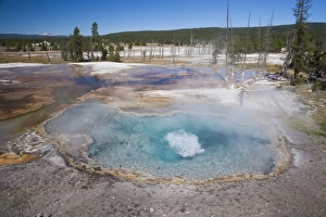 Geothermal Prints: View of hotsprings, Firehole Spring