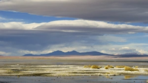 Thermal Prints: View of hotsprings and saltlake habitat, Atacama Desert, Bolivia