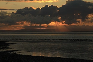 Mud Flats Prints: View of intertidal mudflats habitat at sunset