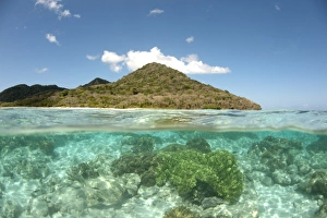 View of island and coral from above and below surface of water, Nyata Island, Barat Daya Islands, Lesser Sunda Islands