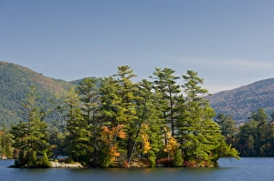 Coniferous Prints: View of island in lake with pines and maples